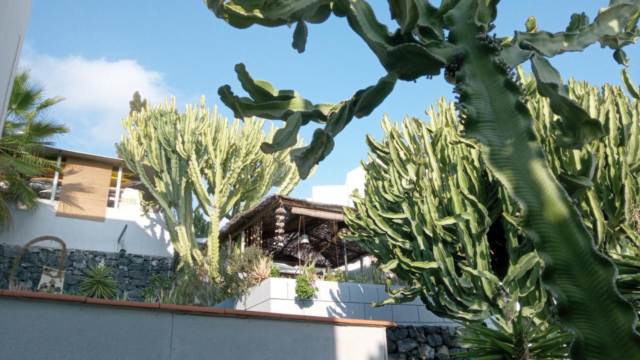 Apartamento Pardela Costa Adeje (Tenerife) Exterior foto