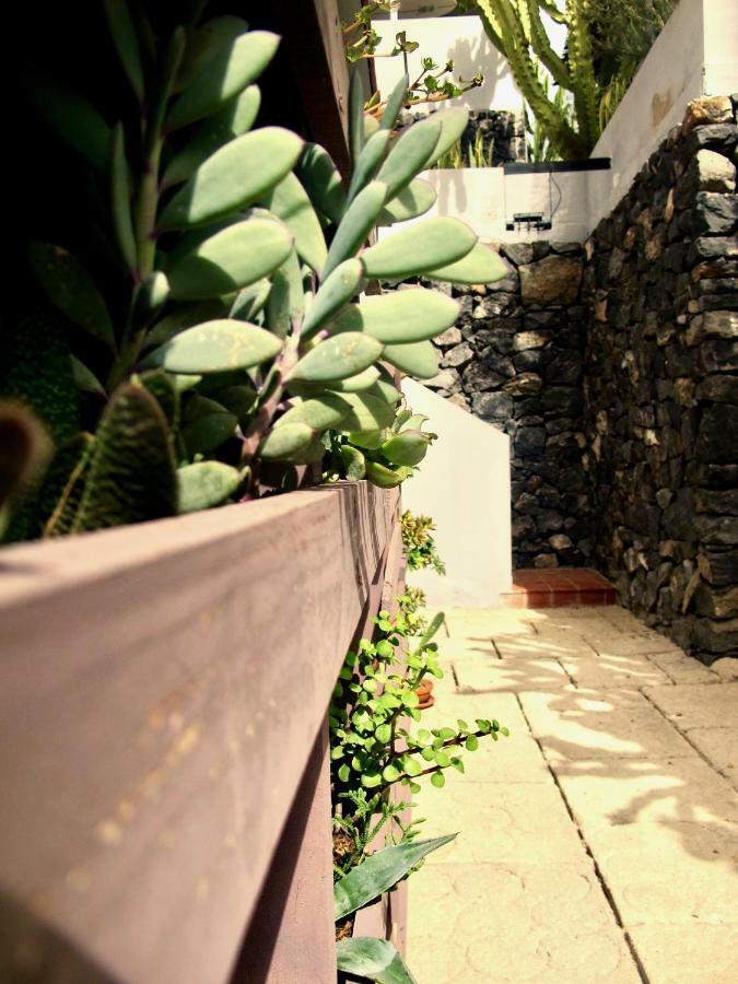 Apartamento Pardela Costa Adeje (Tenerife) Exterior foto